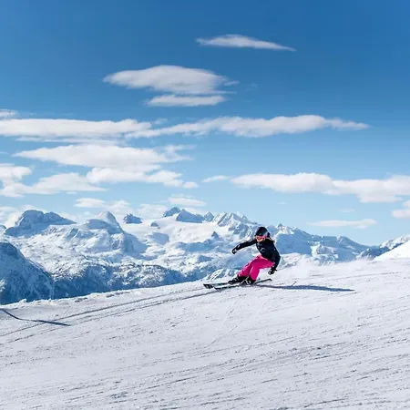 S Manz Feriehus Grundlsee